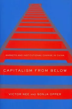 Capitalism from below book cover